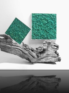 tableau-vegetal-kandi