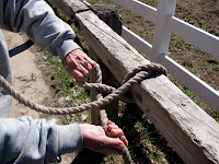 Tying a Lead Rope Slip Knot: Step 4