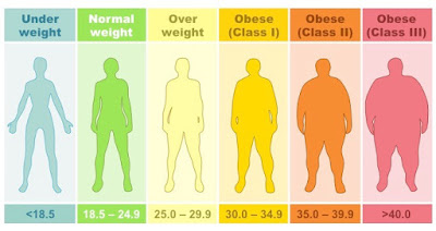 Menghitung Berat Ideal (Kalkulator BMI)