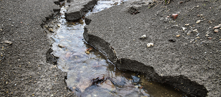 Prevent soil erosion by planting ground cover and diverting water