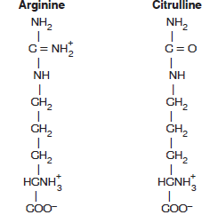 Arginine and  Citrulline