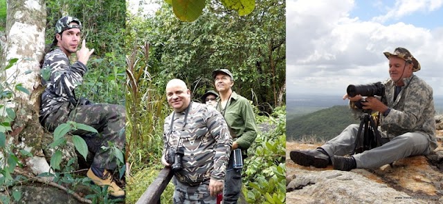 A arte de observar e fotografar pássaros revela espécies raras em Santa Cruz do Capibaribe e região