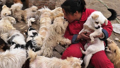 Activistas impiden la venta de 1.000 perros a restaurantes de lujo en China.