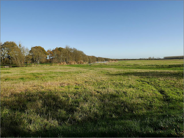 Marais d'Avessac, au bord de la Vilaine (44)