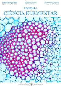  http://rce.casadasciencias.org/rceapp/static/docs/revistas/rce_v3n2.pdf