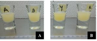 Efficacy of Microbial Biopesticide Formulations in the control of Xanthomonas citri pv. Mangiferaeindicae in Cashew (Anacardium occidentale L.) in Cote D’ivoire