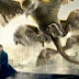 THUNDERBIRD FANTASTIC BEASTS AND WHERE TO FIND THEM