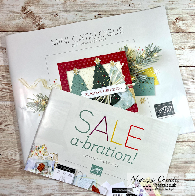 Let's Look At The New Stampin' Up! Mini Catalogue: See What I Got!