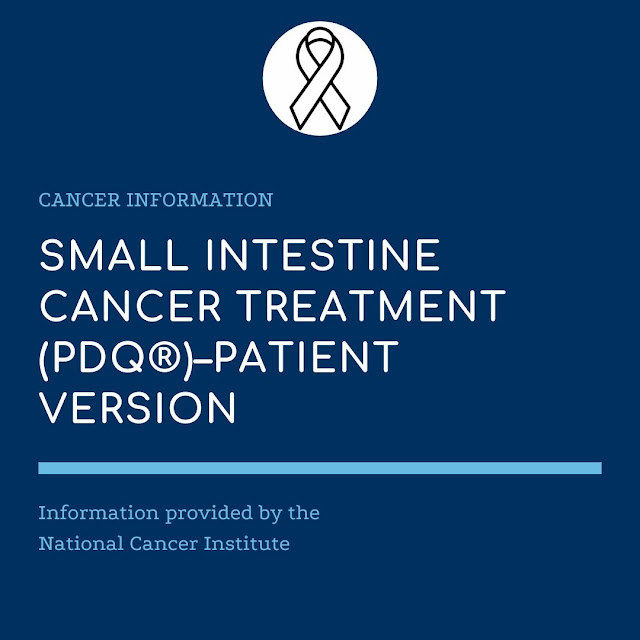 Small Intestine Cancer Treatment (PDQ®)–Patient Version