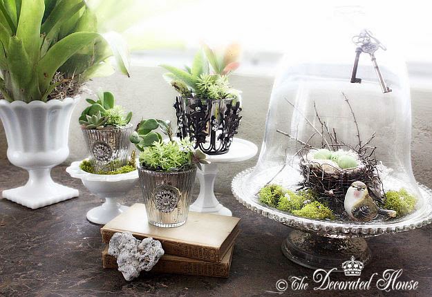 Decorating with Succulents & Sliver at The Decorated House