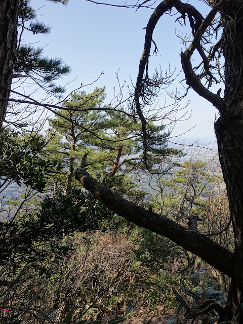 孝霊山　中腹の急な坂道