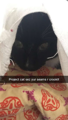 A Snapchat of a black cat's face peering out from under white linen on a yellow, orange, and magenta print blanket, with a bar of text reading "Project cat sez yur seams r crookit."