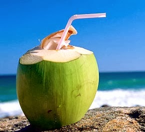 where to buy coconut water cheap