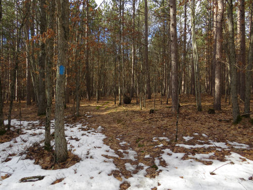 North Country Trail