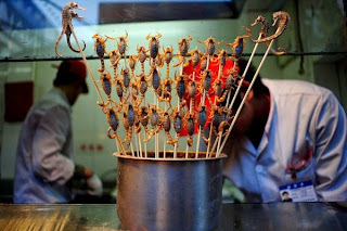 Makanan Paling Aneh di Dunia