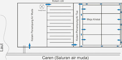 Alur Proses Produksi Garam Pada Lahan Semi Intensif  