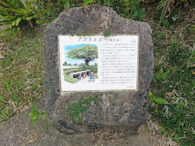 アガリヌカー(東井泉)の写真