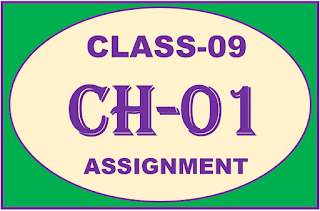 maths assignment class 9 chapter 1