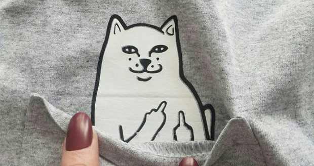 Middle Finger Cat Shirt