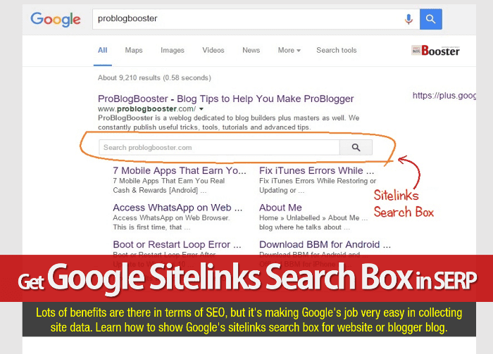 Get Google Sitelinks Search Box