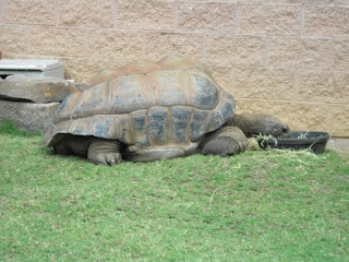 Cape May County Park & Zoo in New Jersey