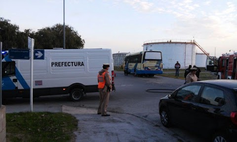 MAR DEL PLATA: SE MASTURBÓ SOBRE UNA PASAJERA, PERO EL COLECTIVERO LE AGARRÓ LA PIJA CON LA PUERTA.