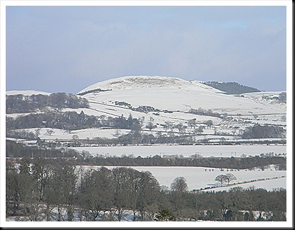 Jan 2011snowfall 017