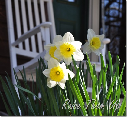 By front porch