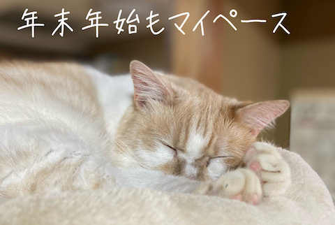 マイペース
