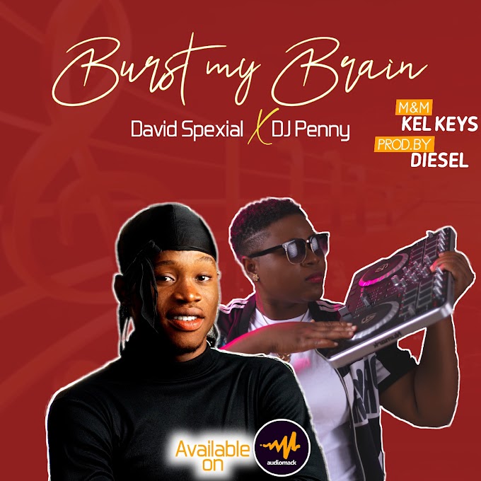 [Music] David Spexial - Burst My Brain ft Dj Penny 