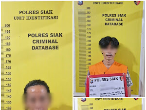SAT NARKOBA POLRES SIAK GULINGKAN JARINGAN BANDAR SHABU ANTARKAMPUNG, 3 ORANG DITANGKAP