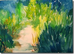 grasses by stream