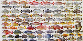 Fish identification poster, Okinawa