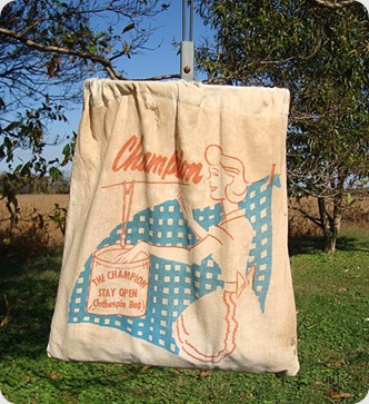 Vintage Clothes pin bag 2