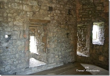 Cardiff Castle卡地夫城堡 (20)