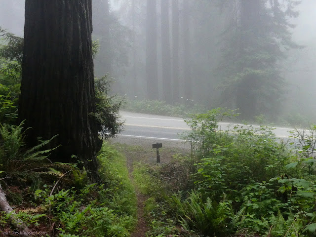 back of the sign and current road