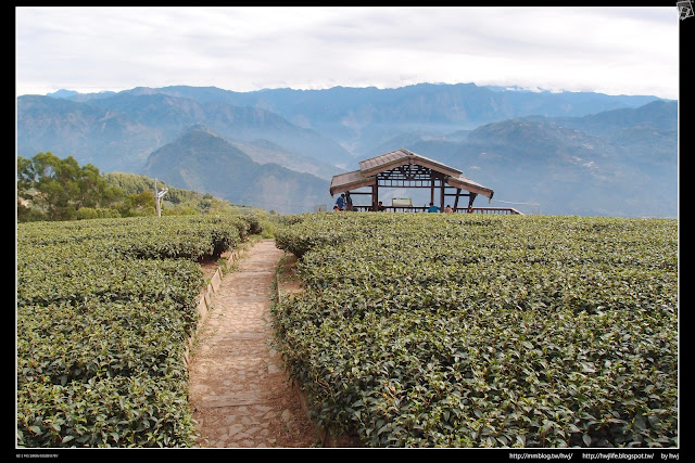 2019-01-01雲林古坑華山-龜仔頭-二尖山唬爛亭-小百岳大尖山