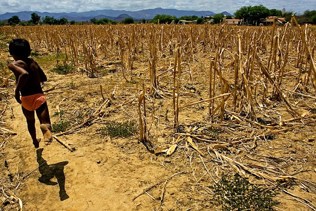 ALERTA DO RISCO DE ESTIAGEM NA BAHIA