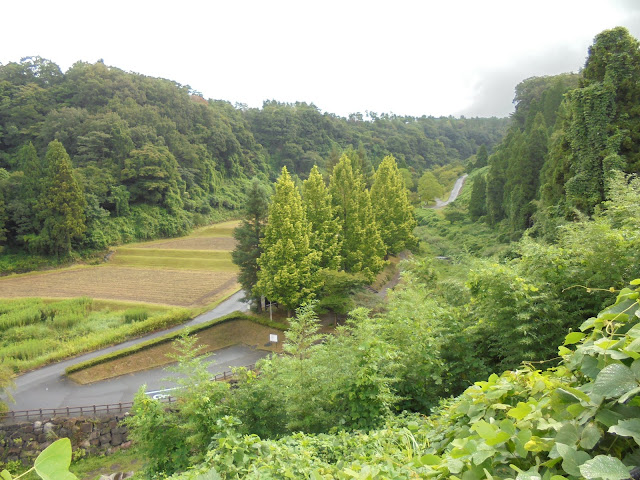 別所川渓流植物園を駐車場から望む