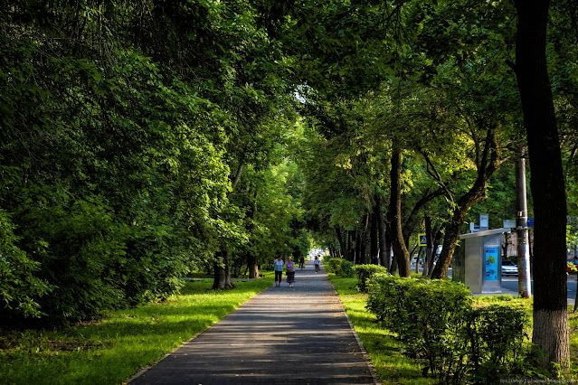 Пешеходная дорожка в тени деревьев и пешеходы