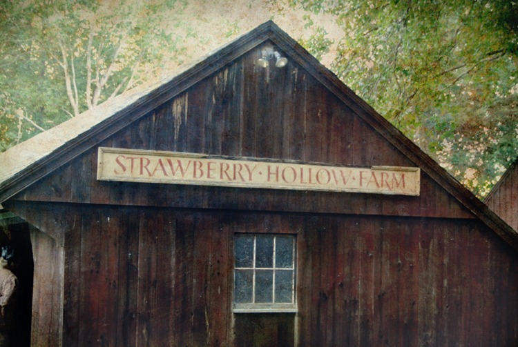 back barn