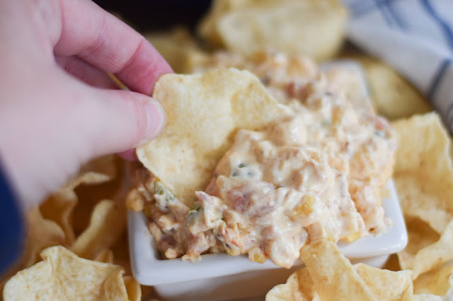 A flavorful crock pot chip dip great for all occasions 