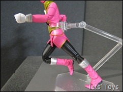 Gokai Pink (24)