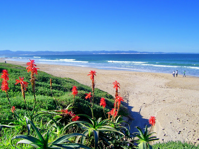 Jeffreys Bay is the surfing