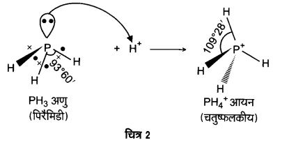 Solutions Class 12 रसायन विज्ञान-I Chapter-7 (p-ब्लॉक के तत्त्व)