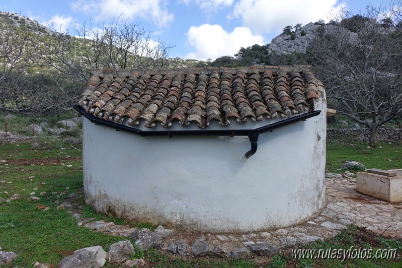 El Cintillo - Sierra Baja de Ubrique - Paso del Bombo - Ubrique - Cañada de los Pernales