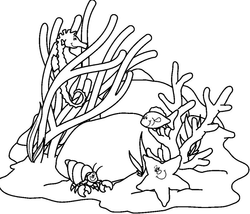  Sketsa  Gambar  Hewan Laut Terbaru gambarcoloring