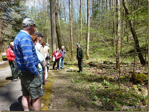 wildflower walk_004