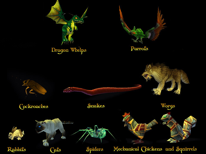 World of Warcraft Pets
