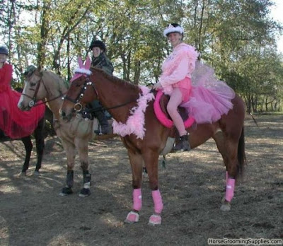 horse fancy dress